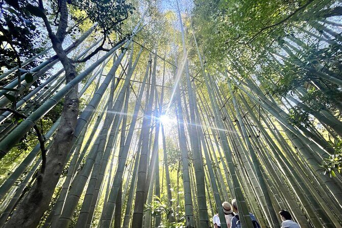 Day Trip to Kamakura & Enoshima: Shrines, Seaside, Temples & Tea - FAQ