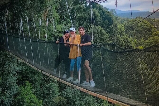 Day Trip to Kinabalu Park and Poring Hot Spring Guided Tour - Key Points