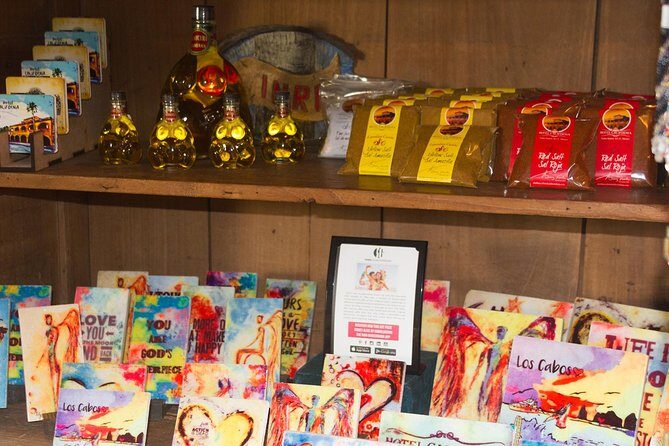 Day Trip to La Paz & Balandra Beach from Cabo San Lucas - Cost and Value Compared to What’s Included