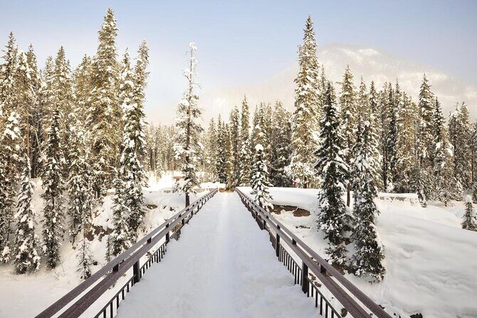 Day Trip to Lake Louise, Moraine Lake, Emerald Lake from Banff - Who Will Appreciate This Tour?