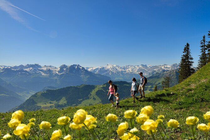 Day Trip to Lucerne and Mount Stanserhorn Including CabriO Cable Car Ride - Analyzing the Value