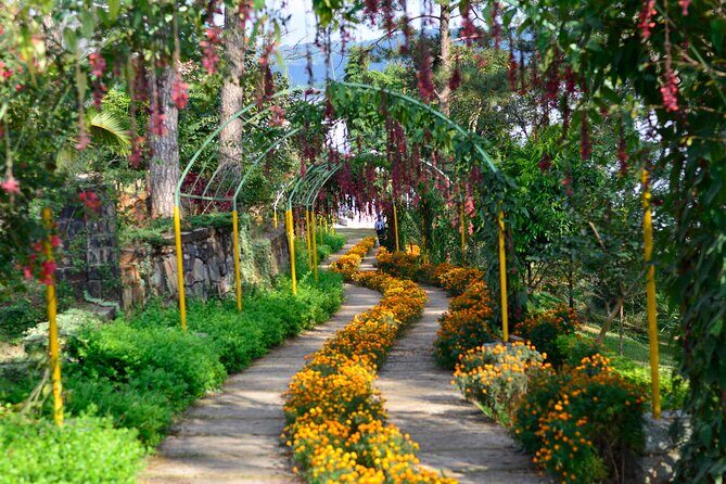 Day Trip to Mawlynnong (Guided Private Sightseeing Experience from Shillong) - Exploring Mawlynnong: A Practical Guide to Your Private Day Trip from Shillong