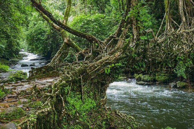 Day Trip to Mawlynnong (Guided Private Sightseeing Experience from Shillong) - Frequently Asked Questions