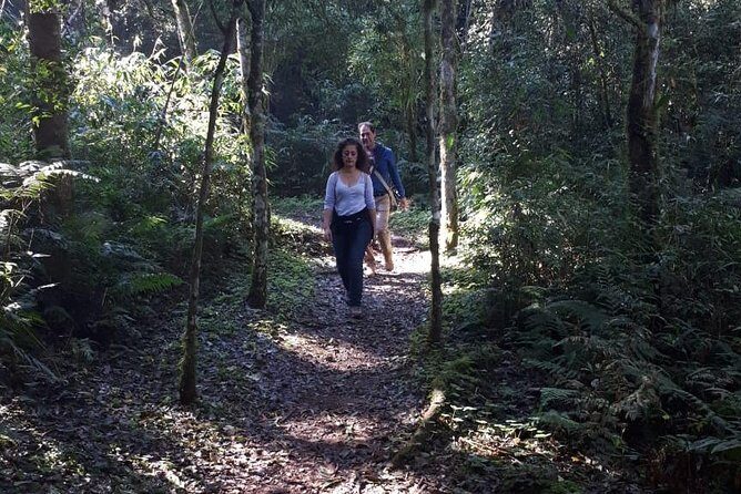 Day trip to Mocona Falls and Salto Encantado Provincial Park - An In-Depth Look at the Day Trip Experience