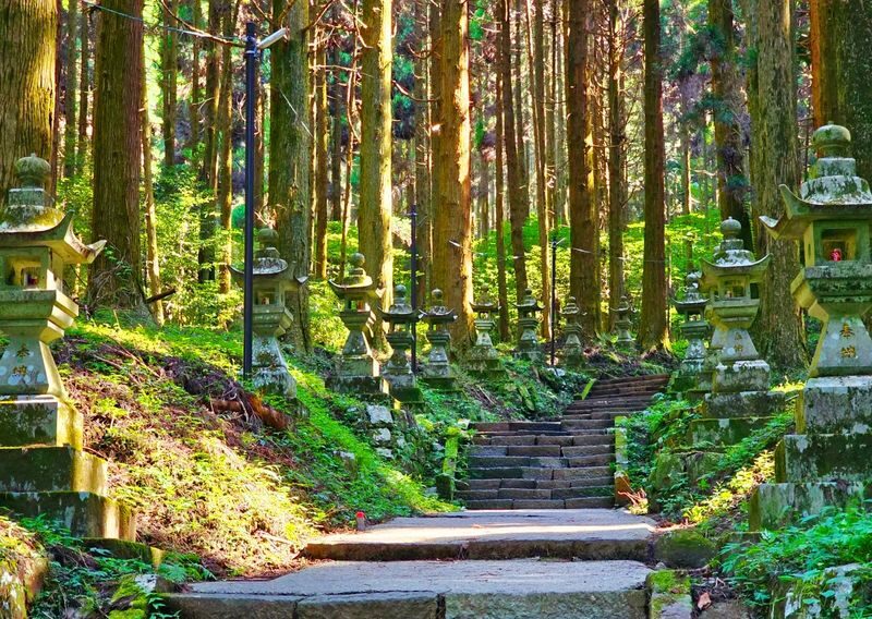 Day trip to Mount Aso and Kurokawa Onsen in Kumamoto Prefecture - Kamishikimi Shrine’s cedar-lined steps