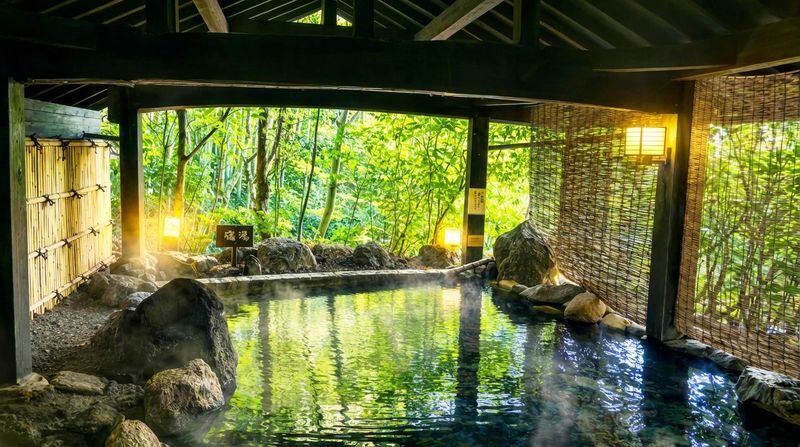 Day trip to Mount Aso and Kurokawa Onsen in Kumamoto Prefecture - What the guide and shared ride add