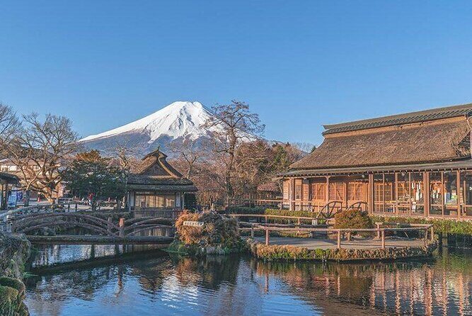 Day Trip To Mount Fuji and Hakone from Tokyo with English Guide - An In-Depth Look at the Tour Experience