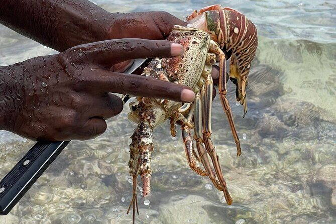 Day Trip to Negril from Montego Bay/Boat Ride to Booby Cay Island/Lobster Lunch - An In-Depth Look at the Negril Day Trip