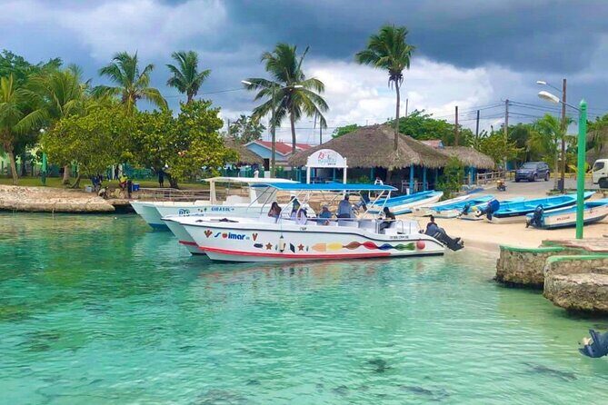 Day Trip to Saona Island with Lunch and Open Bar - Key Points