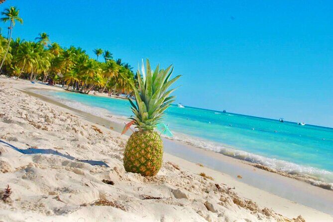 Day Trip to Saona Island with Lunch and Open Bar - Authentic Experiences and Scenic Highlights