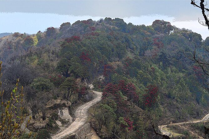 Day Trip to Singalila (Guided Private Sightseeing Experience from Darjeeling) - Exploring the Singalila Day Trip from Darjeeling
