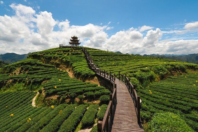 Day Trip to Singalila (Guided Private Sightseeing Experience from Darjeeling) - Final Thoughts