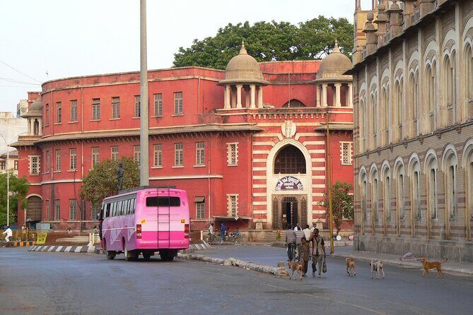 Day Trip to Statue of Unity (Guided Full Day Sightseeing Tour from Vadodara) - Real Insights from Travelers