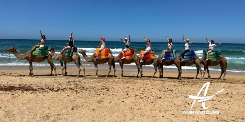 Day trip to Tangier from Tarifa all inclusive - Who Will Love This Tour?