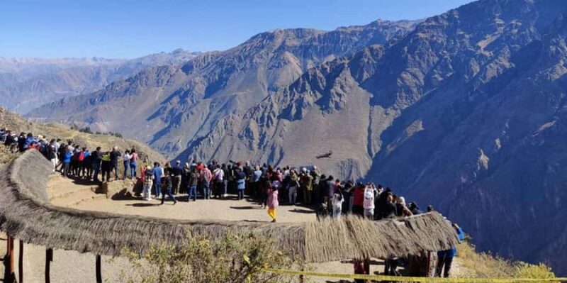 Day trip to the Colca Canyon with connection to Puno - Authentic Experiences and Traveler Opinions