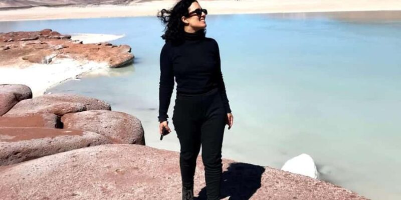 Day trip to the Red Rocks and the Altiplano Lagoons - Discovering North Chile’s Natural Wonders: A Day Trip to Red Rocks and the Altiplano Lagoons