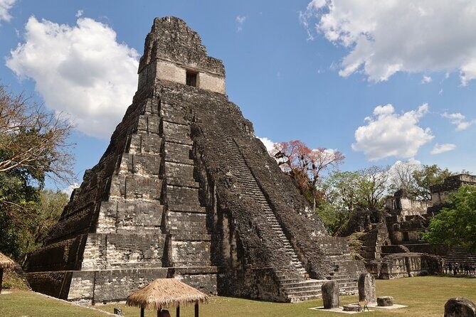 Day Trip to Tikal Maya Ruins Including Lunch - Discovering Tikal: An In-Depth Review