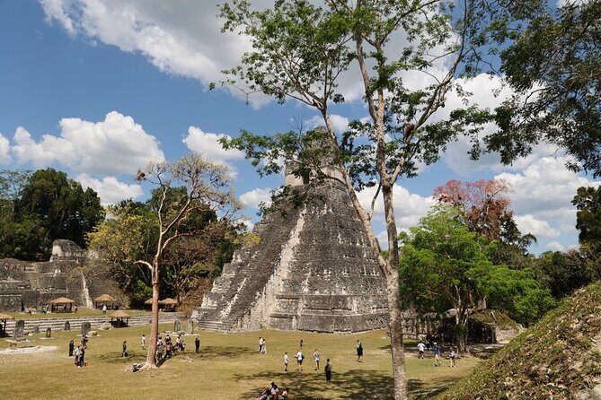 Day Trip to Tikal Maya Ruins Including Lunch - Exploring Tikal: What to Expect on This Day Trip