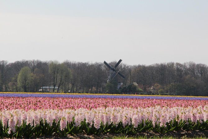 Day Trip To Tulip Gardens Of Keukenhof From Amsterdam: Private & Personalized - Key Points