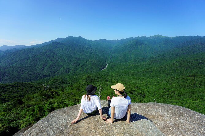 Day Trip to Yakushima by High Speed Jetfoil Toppy from Kagoshima - Key Points