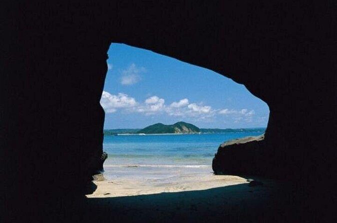 Day Trip to Yakushima by High Speed Jetfoil Toppy from Kagoshima - Who Is This Tour Best For?