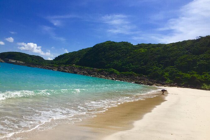 Day Trip to Yakushima by High Speed Jetfoil Toppy from Kagoshima - FAQs