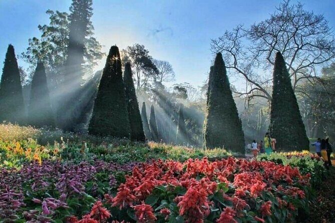 Day Trip Tour From Mandalay To Pyin Oo Lwin - A Deep Dive into the Tour Experience