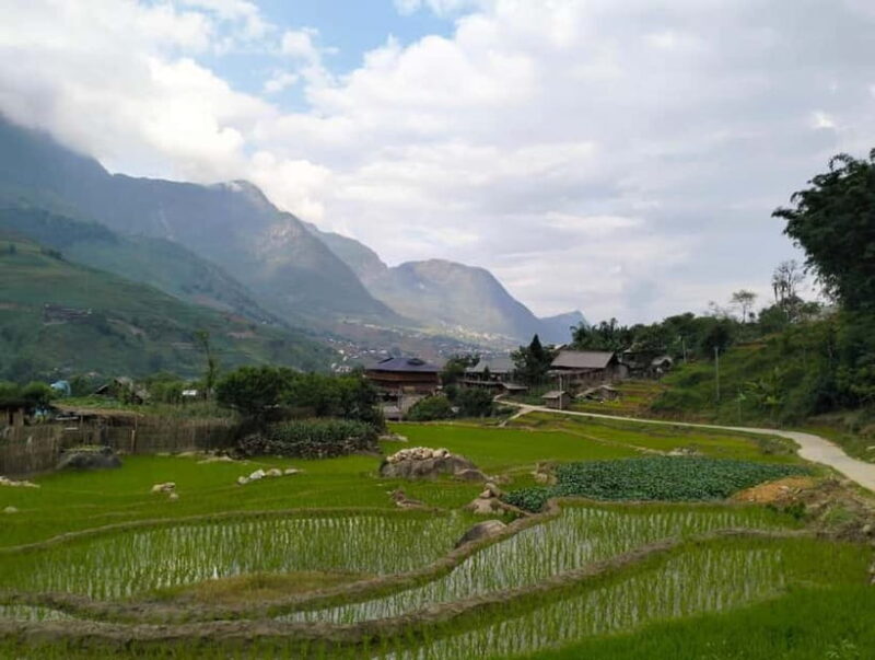 Day Trip Visit Y Linh Ho,Lao Chai Ta Van - Cat Cat Village - Exploring Vietnam’s Sapa: A Day Trip through Villages and Terraces