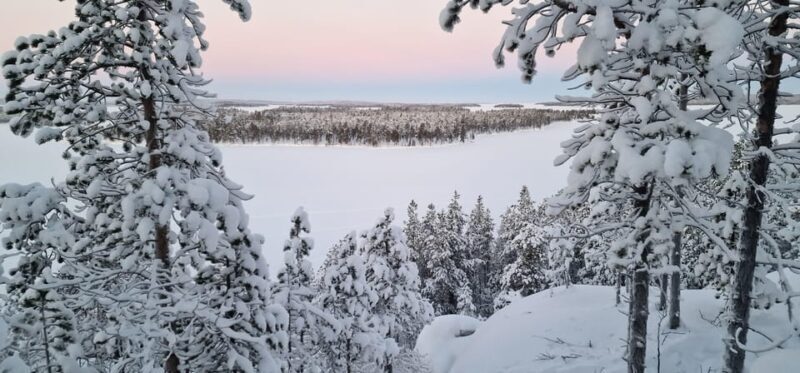 Day with a local - a true finnish experience - Who Will Get the Most Out of This Tour?