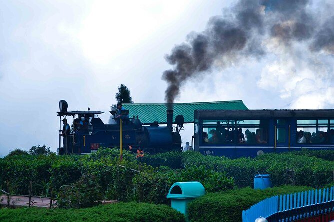 Day_Trippers (Darjeeling Full Day Tour). - The Value of This Tour