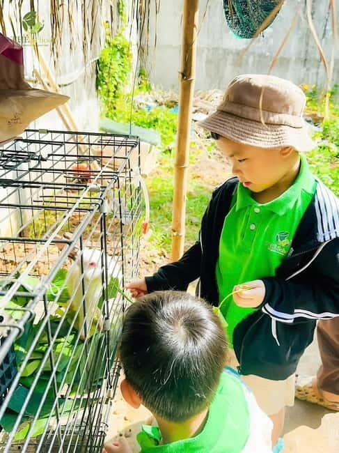 Daycare by Bex in Da Nang| Half Day - Thé School - Key Points