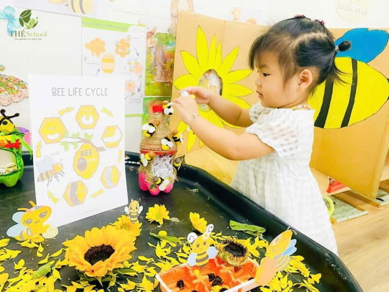 Daycare by Bex in Da Nang| Half Day - Thé School - FAQ