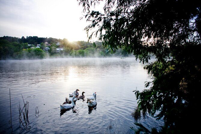 Daylesford Goldfields Track Walking and Wellness Experience - Setting the Scene: What’s on Offer?