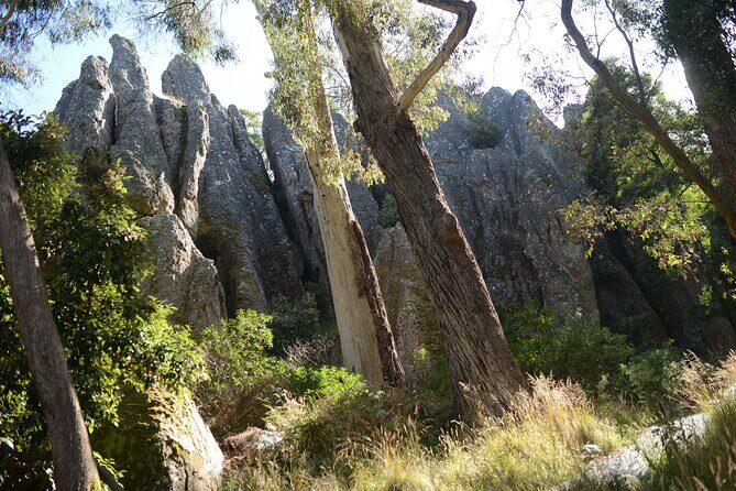 Daylesford Goldfields Track Walking and Wellness Experience - The Travel Experience: What to Expect