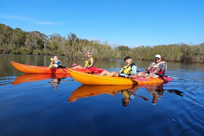 Daytime Kayak Eco Tour of New South Wales - A Detailed Look at the Daytime Kayak Eco Tour in Coffs Harbour