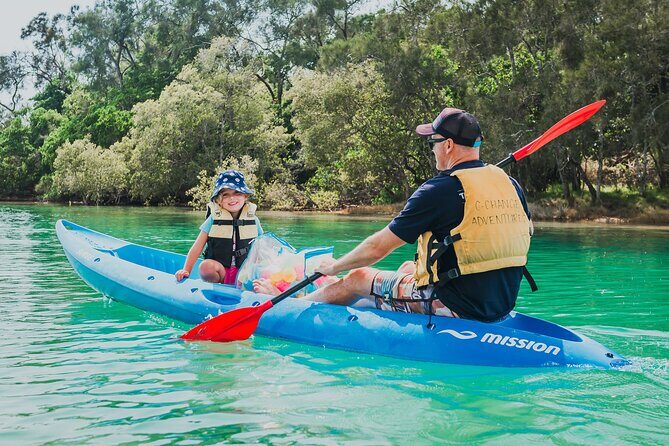 Daytime Kayak Eco Tour of New South Wales - Why This Tour Works Well for Travelers