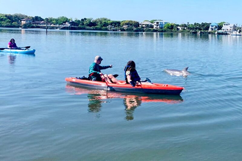 Daytona Beach: Guided Kayaking or Standup Paddling Tour - Learning and Guidance