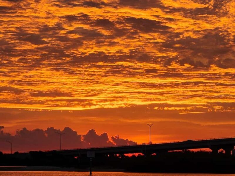 Daytona Beach: Sunset River Cruise with Dolphin Watching - The Value of the Experience