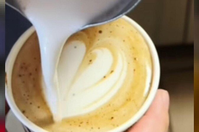 Daytona Coffee Tasting Cupping - The Practical Details of the Tour