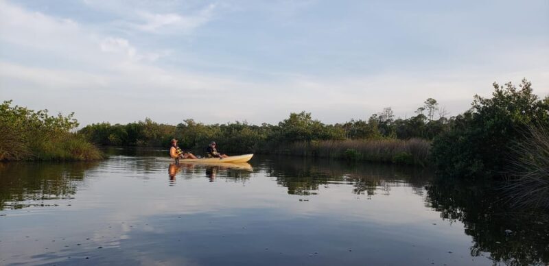 Daytona/New Smyrna Beach: Unforgettable Kayak Wildlife tours - Who Should Consider This Tour?