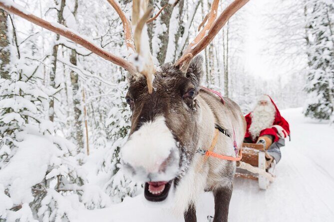 Daytour to Santa Claus Village, Reindeer and Husky Safaris, Photo, and Lunch - Introduction: Discovering Rovaniemis Winter Charm
