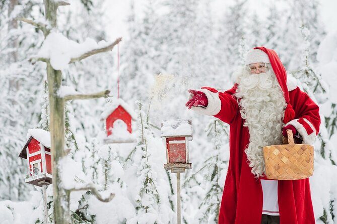 Daytour to Santa Claus Village, Reindeer and Husky Safaris, Photo, and Lunch - Who Is This Tour Best For?