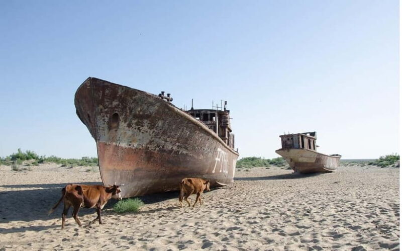 Daytrip from Khiva to Aral Sea Cemetery of Ships. All in one - Key Points