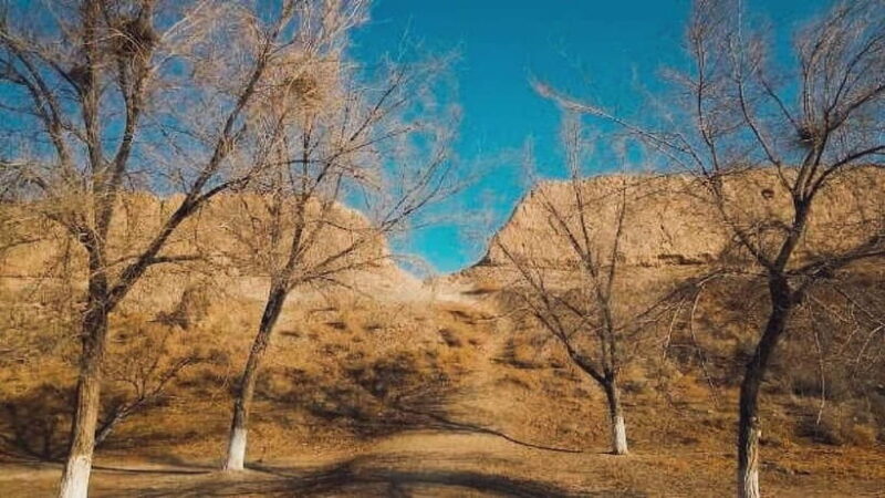 Daytrip from Khiva to Five Ancient Fortresses - Practical Tips for Your Trip