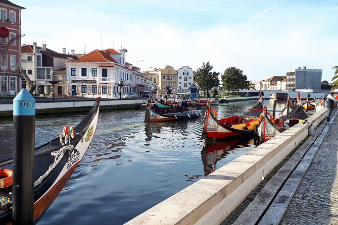 DayTrip Porto to Lisboa (optional visit to Aveiro_Coimbra_Fátima) Since 400eur - The Experience: What Sets It Apart