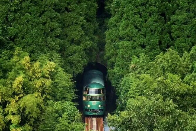 Dazaifu Nyoirinji Temple Yufuin one day tour from Fukuoka - A Deep Dive into the Kyushu Day Tour from Fukuoka