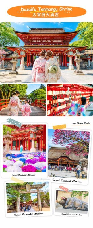 Dazaifu Tenmangu (Optional Kimono), Nyoirinji, Yanagawa Boat Ride & Tosu Outlets day tour - Who should book this tour