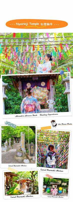 Dazaifu Tenmangu (Optional Kimono), Nyoirinji, Yanagawa Boat Ride & Tosu Outlets day tour - Booking details to check