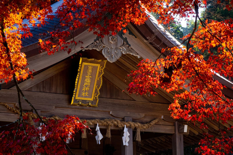 Dazaifu Tenmangu & Yanagawa Full-Day Boat Tour - Yanagawa: a canal ride with a variable pace