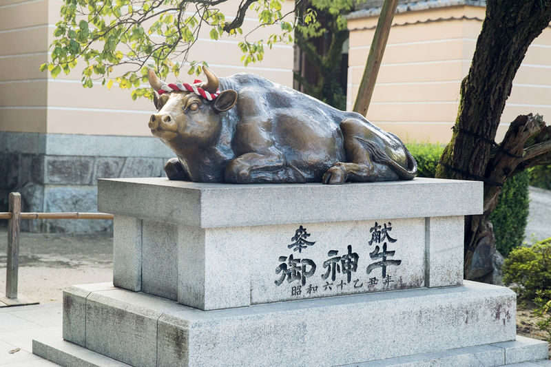 Dazaifu Tenmangu & Yanagawa Full-Day Boat Tour - Dazaifu Tenmangu: shrine, snacks, and the clock